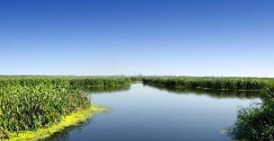 監(jiān)測數(shù)據(jù)造假“惡”于環(huán)境污染