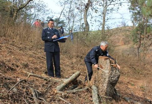 山東：今年前8個(gè)月批捕破壞環(huán)境資源保護(hù)犯罪案件254件